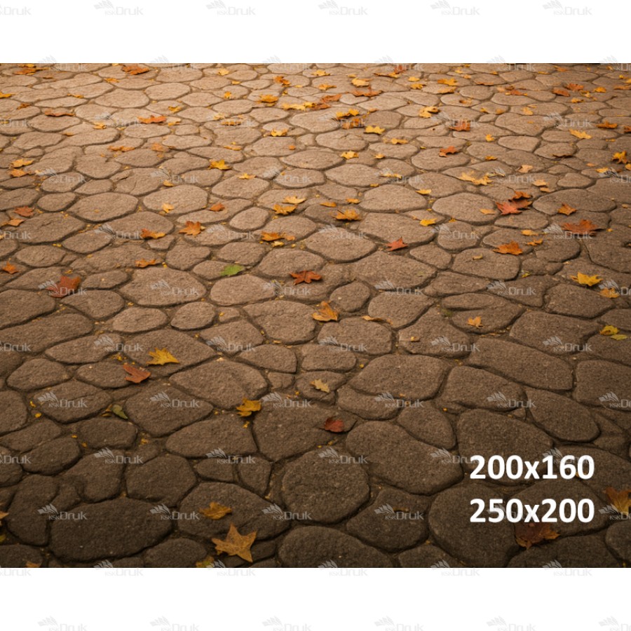 Tło fotograficzne „Jesienna Kamienna Alejka” | 4262